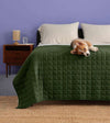 Product: YNM Weighted Blanket 25lb | Color: Cotton Amy Green 3.0