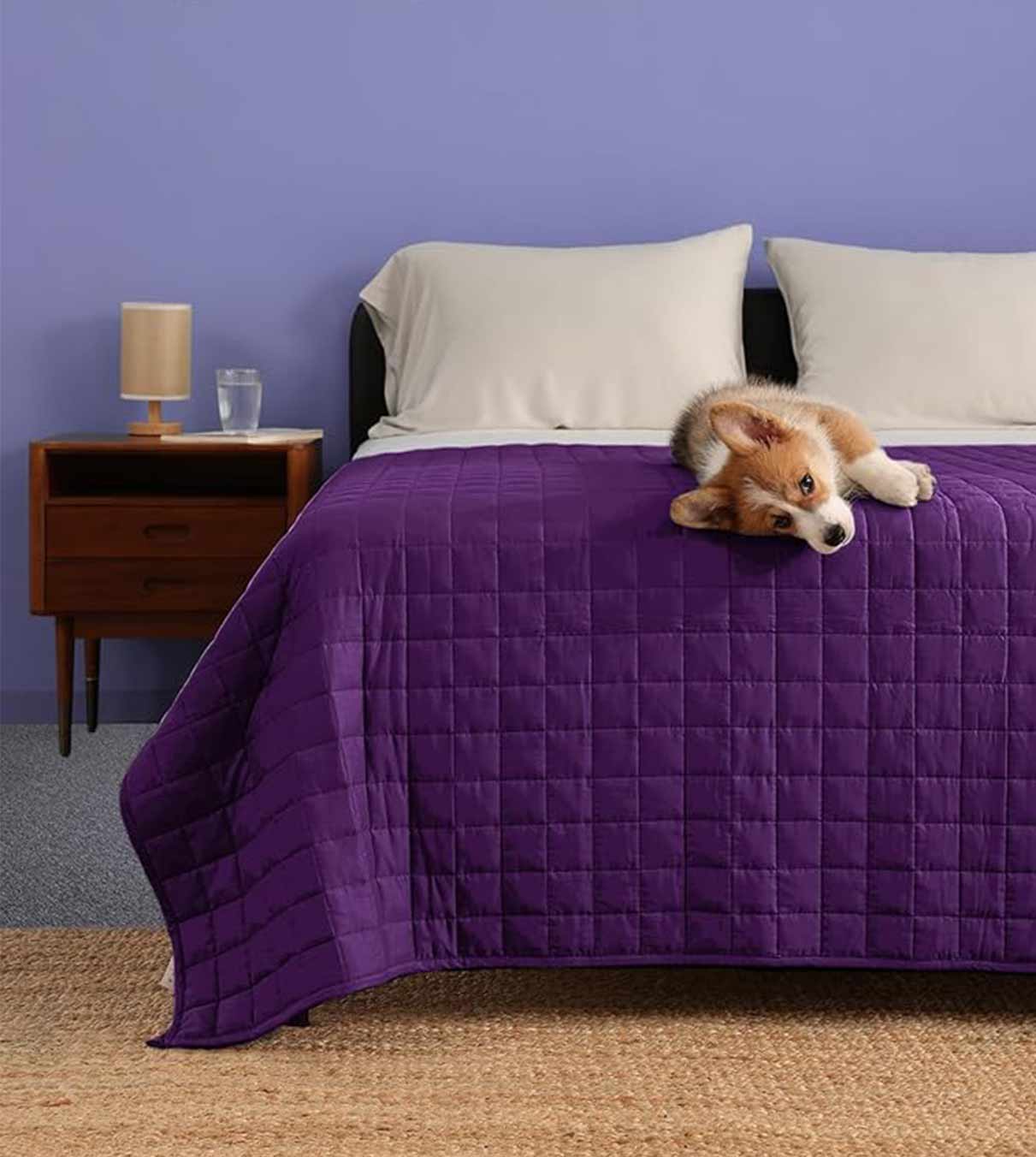 Product: Exclusive Cotton Weighted Blanket | Color: Fuchsia Purple