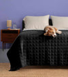 Product: YNM Weighted Blanket 17lb | Color: Cotton Black 3.0