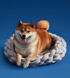 Product: Pet Bed | Color: Light Grey